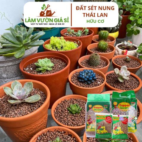 Viên Đất Sét Nung Nhập Khẩu Thái Lan 1 Lít - Giá Thể Tốt Nhất Cho Sen Đá, Phong Lan, và Thủy Canh