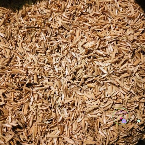 5kg Trấu Khô Sạch - Giá Thể Tự Nhiên Tốt Nhất Cho Trồng Cây, Cải Tạo Đất, Giữ Ẩm, Thúc Đẩy Phát Triển Rễ