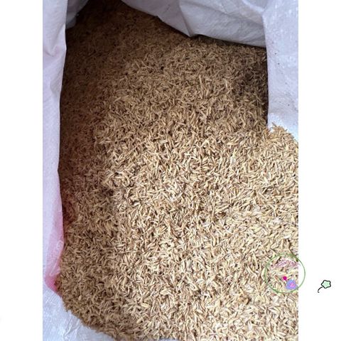 5kg Trấu Khô Sạch - Giá Thể Tự Nhiên Tốt Nhất Cho Trồng Cây, Cải Tạo Đất, Giữ Ẩm, Thúc Đẩy Phát Triển Rễ