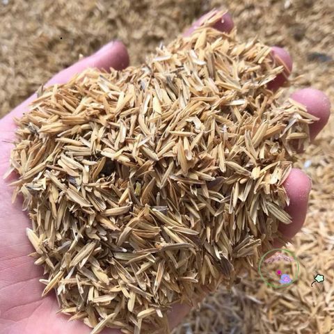 5kg Trấu Khô Sạch - Giá Thể Tự Nhiên Tốt Nhất Cho Trồng Cây, Cải Tạo Đất, Giữ Ẩm, Thúc Đẩy Phát Triển Rễ