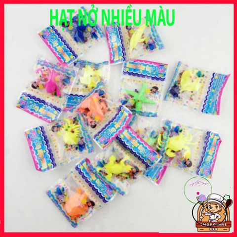 Bộ Hạt Nở Đầy Màu Sắc - Viên Hạt Hút Ẩm An Toàn Cho Trẻ Em, Dùng Trang Trí Tiểu Cảnh & Hoạt Động Giải Trí Sáng Tạo