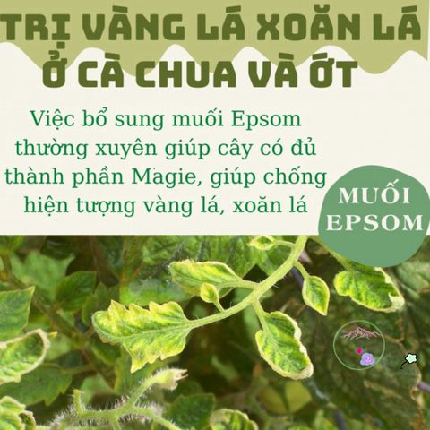 Muối Epsom Nguyên Chất 1kg - Phân Bón Hỗ Trợ Cây Trồng Chuyên Nghiệp Tăng Cường Magie và Lưu Huỳnh, Giúp Cây Phát Triển Tốt