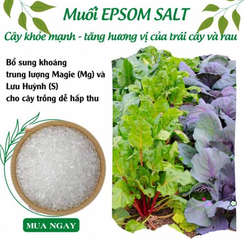 Muối Epsom Nguyên Chất 1kg - Phân Bón Hỗ Trợ Cây Trồng Chuyên Nghiệp Tăng Cường Magie và Lưu Huỳnh, Giúp Cây Phát Triển Tốt