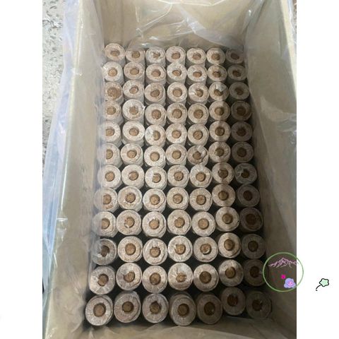 10 Viên Nén Xơ Dừa Giúp Ươm Hạt Giống - Đất Nén Giữ Ẩm Tốt Cho Cây Xanh Tươi Tốt, Phát Triển Nhanh Chóng