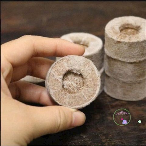 10 Viên Nén Xơ Dừa Giúp Ươm Hạt Giống - Đất Nén Giữ Ẩm Tốt Cho Cây Xanh Tươi Tốt, Phát Triển Nhanh Chóng