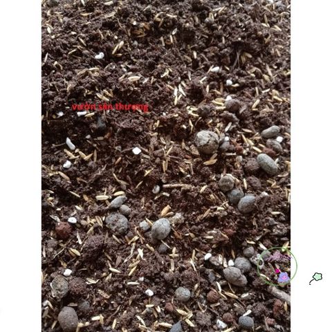 Đất Mùn Hữu Cơ Trồng Rau và Cây Cảnh (1kg) - Hỗn Hợp Đất Đỏ, Phân Bò Vi Sinh và Xơ Dừa, Dinh Dưỡng Tự Nhiên, Dễ Gieo Hạt