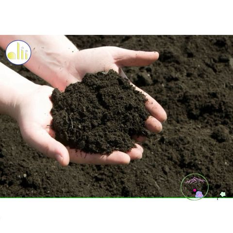 Đất Trồng Cao Cấp Cho Sen Đá, Xương Rồng & Hoa Cảnh - Hỗn Hợp Dinh Dưỡng Cho Vườn Nhà Bạn