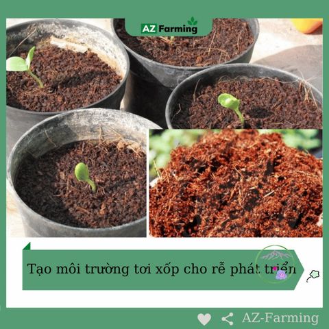 Mụn Dừa Tự Nhiên - Giá Thể Trồng Cây Không Tác Hại Môi Trường Trong Túi Zip 5dm3 - AZ Farming