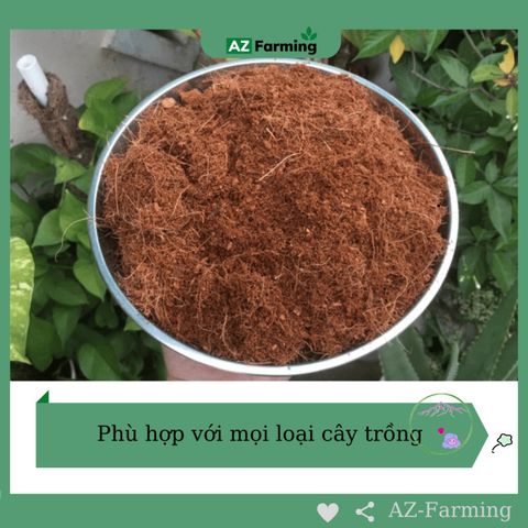 Mụn Dừa Tự Nhiên - Giá Thể Trồng Cây Không Tác Hại Môi Trường Trong Túi Zip 5dm3 - AZ Farming