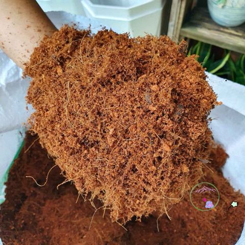 Hạt Nở Xơ Dừa 1kg - Giá Thể Trồng Trọt Chất Lượng Cao, Khuyến Mãi Mua 10 Tặng 1, Phù Hợp Cho Vườn Nhà và Trang Trại