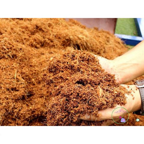 Hạt Nở Xơ Dừa 1kg - Giá Thể Trồng Trọt Chất Lượng Cao, Khuyến Mãi Mua 10 Tặng 1, Phù Hợp Cho Vườn Nhà và Trang Trại