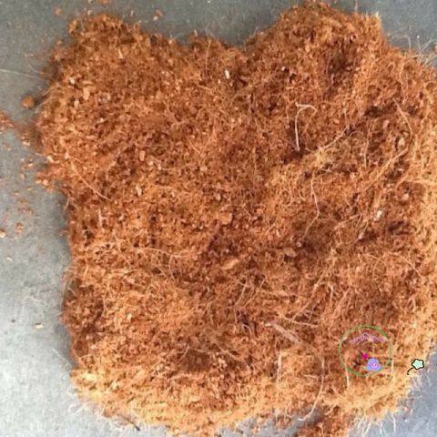 Hạt Nở Xơ Dừa 1kg - Giá Thể Trồng Trọt Chất Lượng Cao, Khuyến Mãi Mua 10 Tặng 1, Phù Hợp Cho Vườn Nhà và Trang Trại