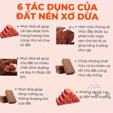 Bộ 20 Viên Nén Xơ Dừa 500g - Giá Thể Tự Nhiên Thay Thế Đất Trồng Cho Cây - Giải Pháp Trồng Cây Thân Thiện Môi Trường