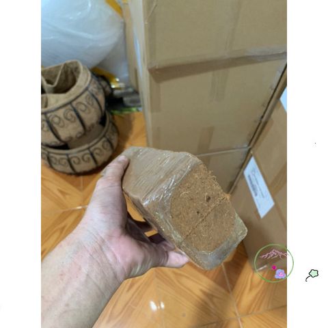 Bộ 20 Viên Nén Xơ Dừa 500g - Giá Thể Tự Nhiên Thay Thế Đất Trồng Cho Cây - Giải Pháp Trồng Cây Thân Thiện Môi Trường