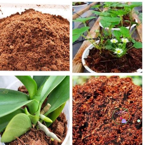 Mùn xơ dừa đã xử lý 1kg - Chất nền hữu cơ cho cây lan, cây cảnh, rau mầm - Giữ ẩm, tăng trưởng rễ, thân thiện môi trường