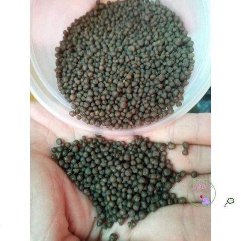 Phân Bón D.A.P 1Kg - Tăng Cường Phát Triển Rễ và Cây Xanh, Đạm và Lân Hỗn Hợp Cho Tất Cả Các Loại Cây Trồng