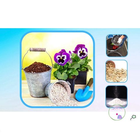 Túi 1 kg Đá Perlite - Phụ Gia Trồng Sen Đá, Xương Rồng, Cây Cảnh Giúp Thoát Nước Tốt và Tạo Đất Tơi Xốp