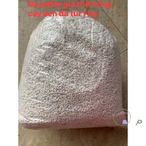 Túi 1 kg Đá Perlite - Phụ Gia Trồng Sen Đá, Xương Rồng, Cây Cảnh Giúp Thoát Nước Tốt và Tạo Đất Tơi Xốp