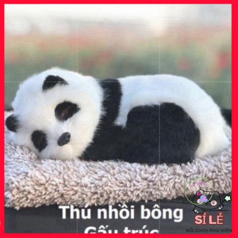 Gấu Bông Chó Mèo Hút Mùi Than Hoạt Tính - Đồ Chơi Dễ Thương Trang Trí Xe Hơi và Không Gian Sống