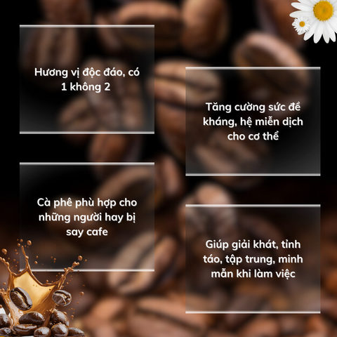 Cà Phê Decaf Caphelink New Hương Vị Thơm Ngon, Tăng Cường Đề Kháng, Chăm Sóc Sức Khỏe - Uống Ngon