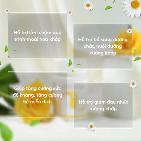 Jointlink Max - Hỗ Trợ Giảm Đau Xương Khớp, Tái Tạo Sụn, Chậm Thoái Hóa, Dễ Vận Động