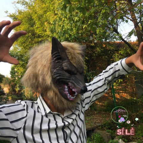 Mặt Nạ Hóa Trang Chó Sói - Silicone An Toàn, Thú Vị Cho Halloween và Cosplay, Phụ Kiện Lễ Hội Độc Đáo