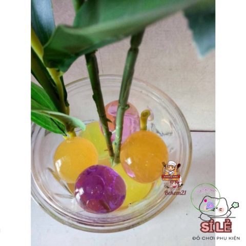 Hạt Nở Tinh Thể V2 50g - Hạt Trang Trí Cây Cảnh, Đồ Chơi Phát Triển Giác Quan Cho Trẻ Em, Kích Thước 7-8mm, Đẹp Mắt, Đàn Hồi