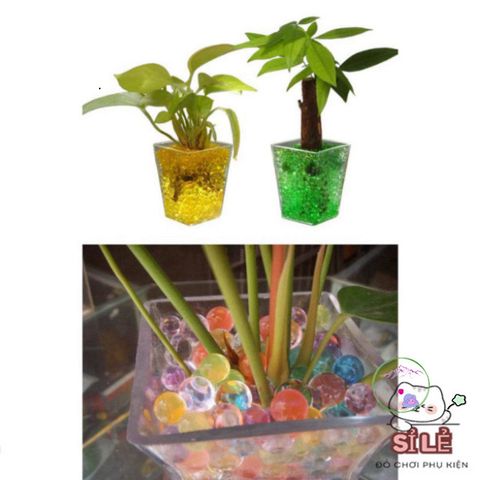 Hạt Giống Biến Hình Đa Năng - Lập Kế Hoạch Cắm Hoa, Tiểu Cảnh, Cây Bonsai Thú Vị Dễ Dàng Tự Làm Tại Nhà