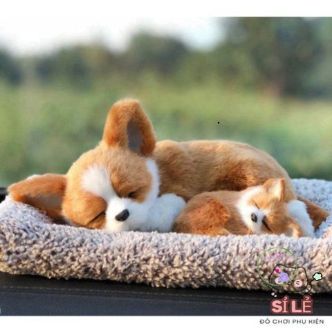 Thú bông than hoạt tính khử mùi cho chó mèo - Đồ trang trí ô tô dễ thương, món quà thú vị cho trẻ em và gia đình
