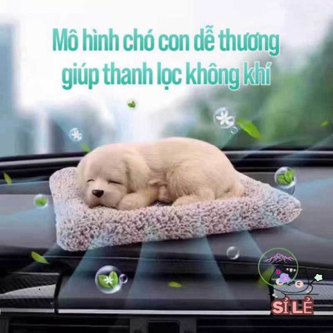 Thú Bông Khử Mùi Than Hoạt Tính - Trang Trí Xe Hơi, Học Tập, Kệ Sách Dễ Thương - Giải Pháp Trong Lành Cho Không Gian Sống