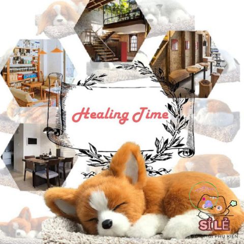 Thú Bông Khử Mùi Than Hoạt Tính - Trang Trí Xe Hơi, Học Tập, Kệ Sách Dễ Thương - Giải Pháp Trong Lành Cho Không Gian Sống