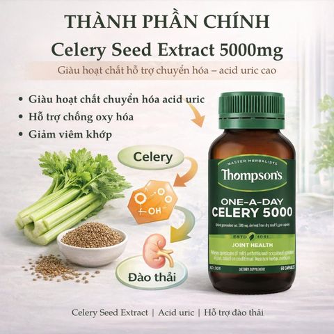 Viên Uống Thompson's Celery 5000mg - Hỗ Trợ Giảm Acid Uric và Sức Khỏe Xương Khớp - Thực Phẩm Bổ Sung New Zealand 60 Viên