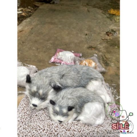 Bộ Đôi Thú Bông Cún Xám Bố Con - Khử Mùi Lõi Than Hoạt Tính Cho Xe Hơi, Mẫu Chó Sói Đáng Yêu, Phụ Kiện Trang Trí Thú Vị