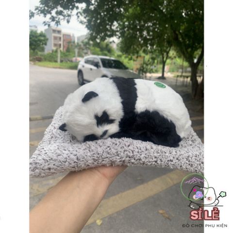 Bộ Khử Mùi Khí Đôi Hình Chó Mèo Với Than Hoạt Tính - Dụng Cụ Khử Mùi Thú Bông Dễ Thương cho Xe Hơi và Văn Phòng