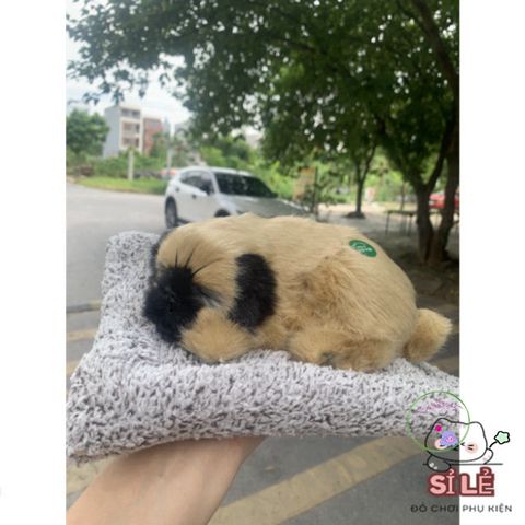 Bộ Khử Mùi Khí Đôi Hình Chó Mèo Với Than Hoạt Tính - Dụng Cụ Khử Mùi Thú Bông Dễ Thương cho Xe Hơi và Văn Phòng