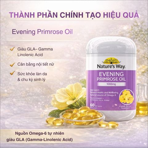 Tinh Dầu Hoa Anh Thảo Nature’s Way 60 Viên - Bổ Sung Dưỡng Chất Từ Thực Vật, Viên Nang Mềm Tiện Lợi Cho Sức Khỏe