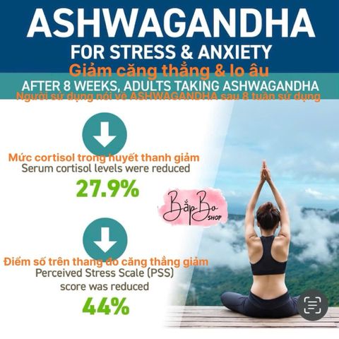 Viên uống Ashwagandha 450mg Now - Nhân Sâm Ấn Độ Tăng Cường Sức Khỏe, Giảm Căng Thẳng, Hỗ Trợ Giấc Ngủ cho Nam và Nữ