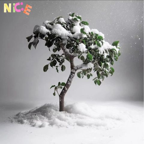 Tuyết Nhân Tạo Trang Trí Noel 10g - Tạo Hình Người Tuyết Sống Động, Hiệu Ứng Tuyết Rơi Đẹp Mắt cho Mùa Giáng Sinh