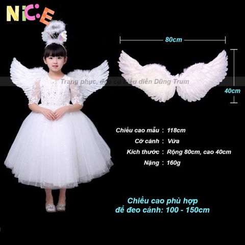 Cánh Thiên Thần Đen Trắng - Bộ Cánh Lông Vũ Hóa Trang Sang Trọng cho Biểu Diễn và Chụp Ảnh Nghệ Thuật