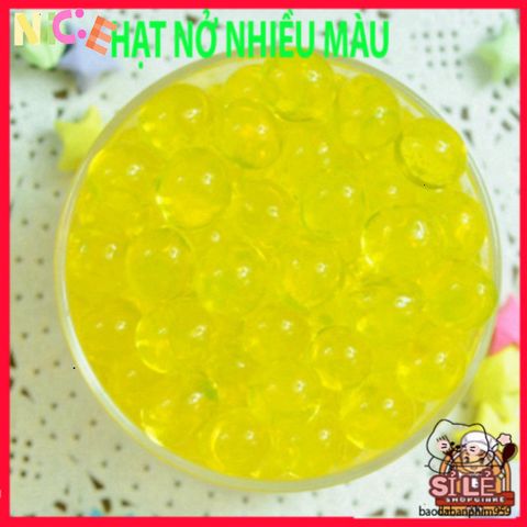 Hạt giống cây thủy canh nở tinh thể - Giải pháp độc đáo cho trồng cây và chăm sóc slime tận nhà