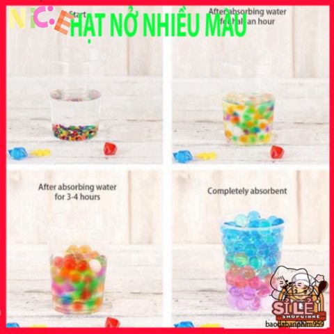 Vỉ 24 Gói Hạt Nở Tinh Thể - Trang Trí Cây Cảnh, Tạo Tiểu Cảnh Đẹp, Thân Thiện Môi Trường, Ý Tưởng DIY Hấp Dẫn