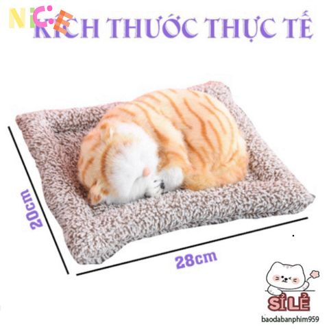 Bông Nhồi Than Hoạt Tính Dễ Thương - Khử Mùi và Trang Trí Xe Cộ, Văn Phòng Hiện Đại và Ấm Cúng