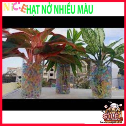 Hạt Nở Tinh Thể 20G - Trang Trí Cây Thủy Sinh, Hạt Trân Châu Không Đất, Màu Sắc Rực Rỡ Cho Không Gian Sống