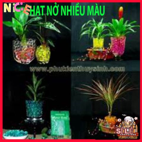 Hạt Nở Tinh Thể 20G - Trang Trí Cây Thủy Sinh, Hạt Trân Châu Không Đất, Màu Sắc Rực Rỡ Cho Không Gian Sống