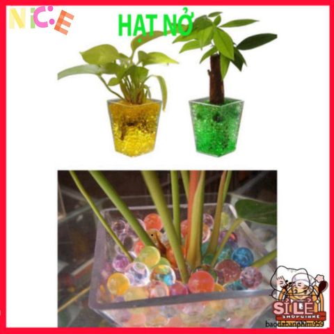 Hạt Nở Trang Trí Sáng Tạo - DIY Slime Vui Nhộn Cho Hoa, Bonsai, Tiểu Cảnh - Trang Trí Không Gian Sống Màu Sắc