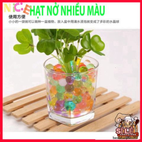 Combo 5000 Viên Hạt Nở Nhiều Màu Sắc - Trang Trí Nội Thất Sáng Tạo, Tạo Tiểu Cảnh Sinh Động