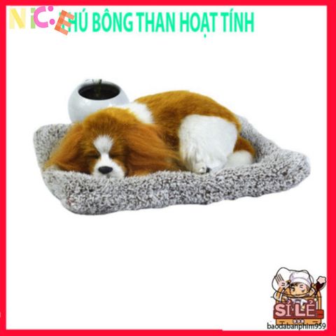 Thú Cưng Trang Trí Than Hoạt Tính - Giải Pháp Khử Mùi, Hút Ẩm Ô Tô, Chống Bức Xạ, Thiết Kế Hiện Đại, Sức Khỏe & Thư Giãn