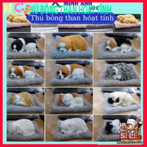 Gấu Bông Kháng Mùi Lọc Không Khí - Thú Bông Trang Trí Ô Tô & Bàn Làm Việc Dễ Thương, Giải Pháp Khử Mùi Hiệu Quả