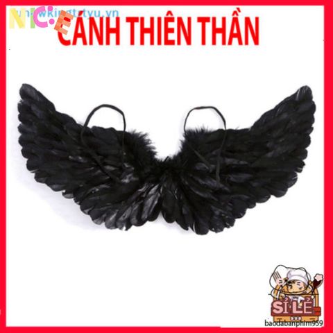 Bộ Kính Chào Trắng Đen Sang Trọng - Chất Liệu Lông Vũ Cao Cấp, Trang Trí Không Gian Nhà Sang Chảnh, Phong Thủy May Mắn