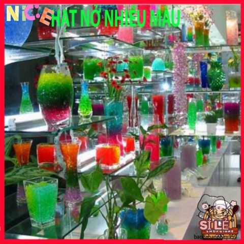 Bộ 10.000 Hạt Nở Màu Sắc Nhật Bản 100g - Trang Trí Cây Cảnh, Tạo Slime và Ngâm Nước Sáng Tạo